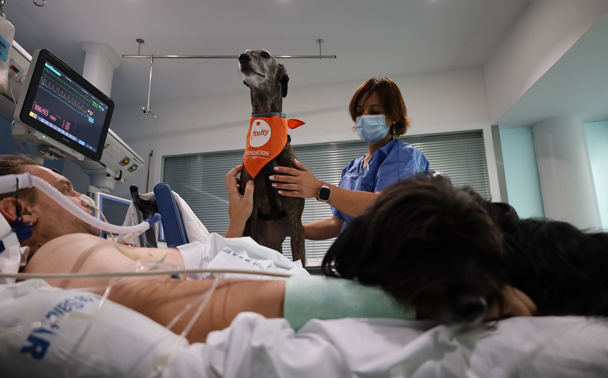Therapy dogs for patients in the ICU