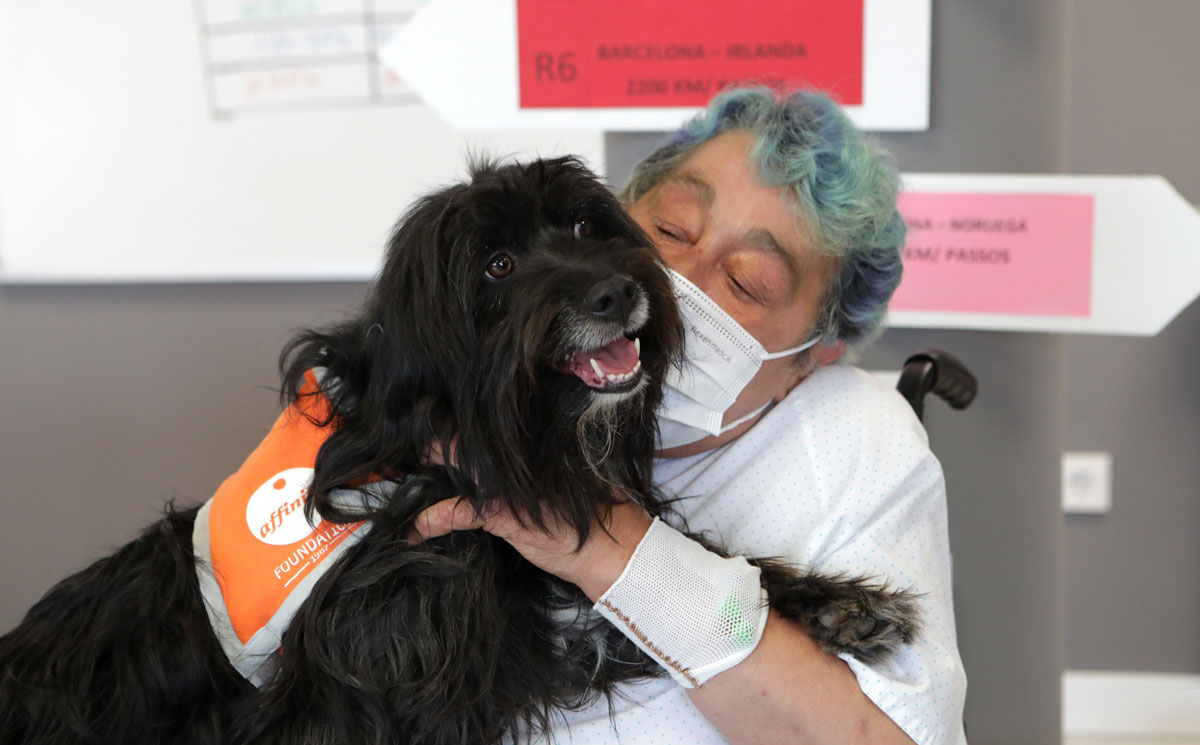 Terapia con perros para fomentar la autonomía de pacientes frágiles