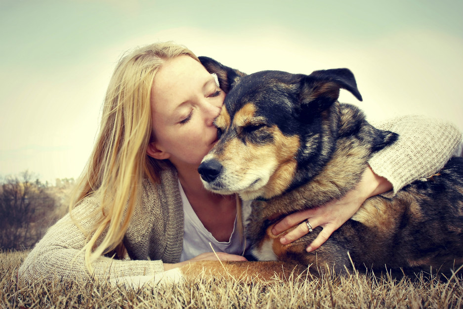 Can a dog love again after having been abandoned? | Affinity Foundation