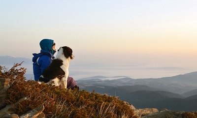 Consejos imprescindibles para viajar con animales de compañía