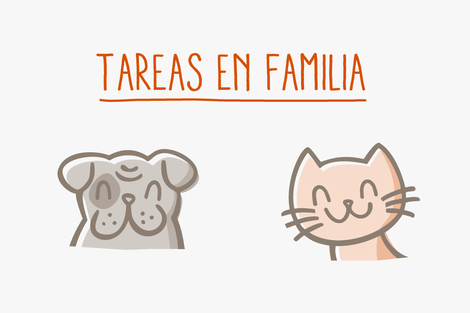 Cómo repartir las tareas para cuidar un animal de compañía en familia? |  Fundación Affinity