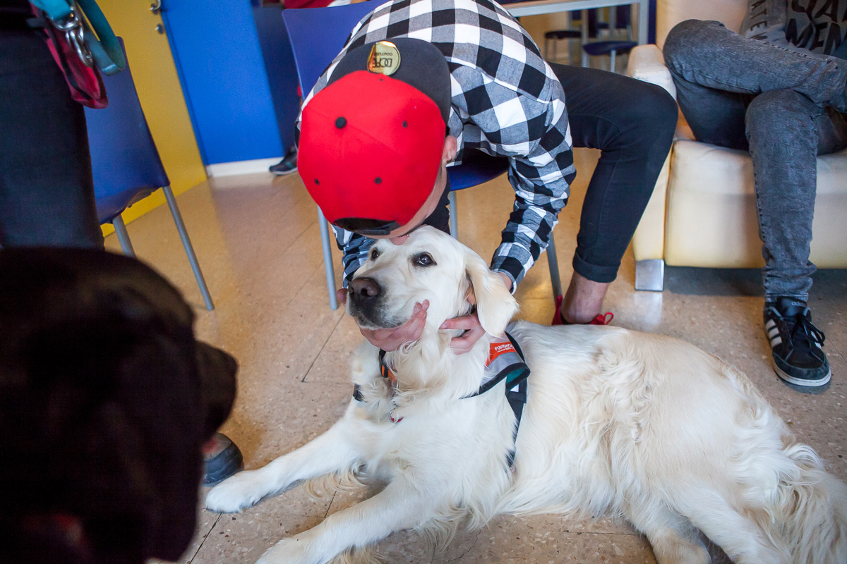 Fundación Affinity y los beneficios de las terapias con perros en adolescentes