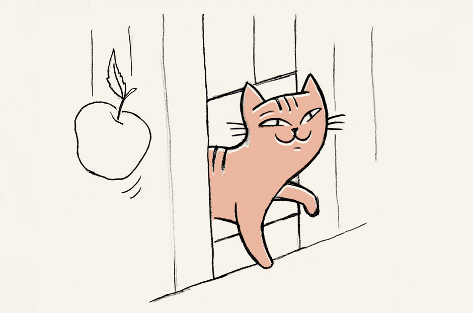 Quién inventó la puerta para gatos?