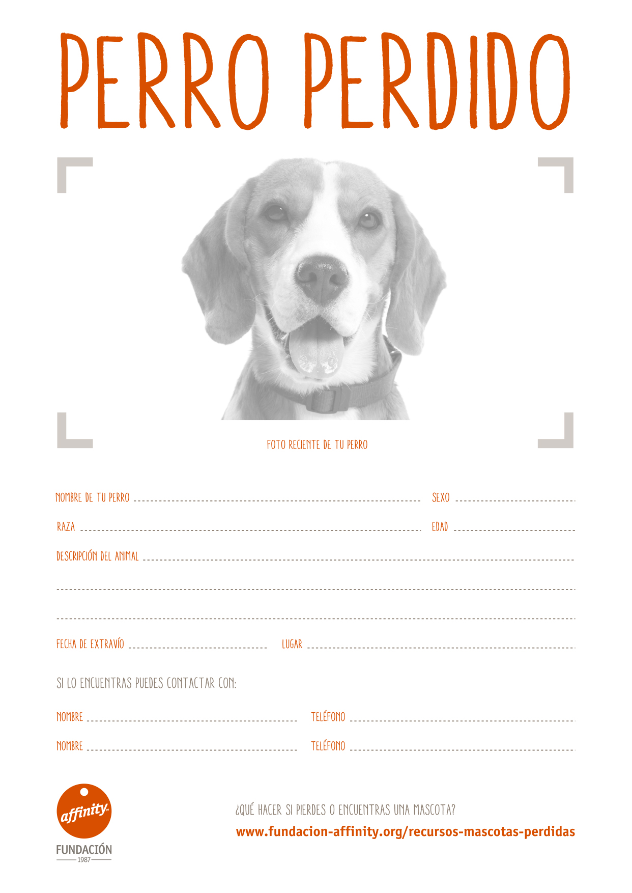 Cartel si perdido tu perro (sin | Fundación