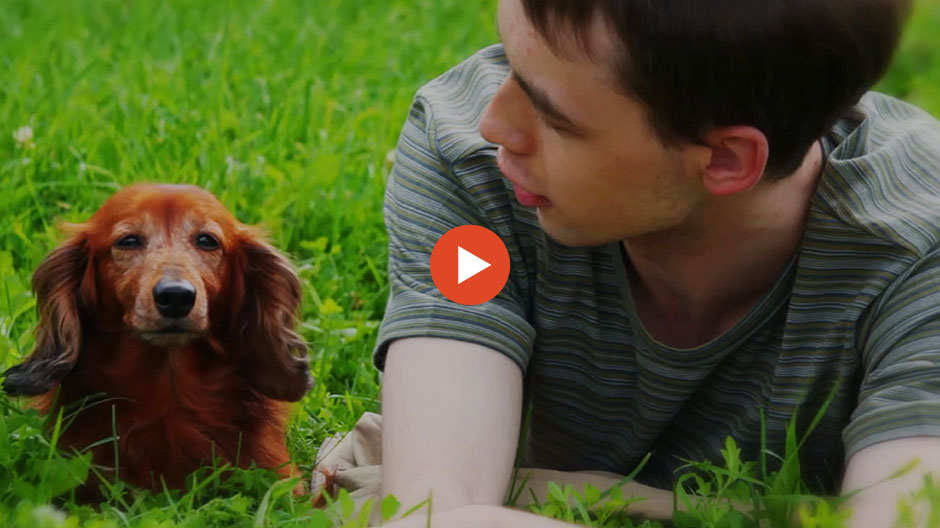 Video summary of the 2013 studies of the bond between people and animals |  Affinity Foundation