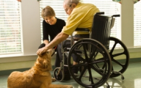 Perros en residencias de ancianos