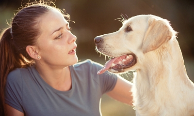 Fundación Affinity lleva por primera vez perros a los juzgados para ayudar a las víctimas de violencia de género