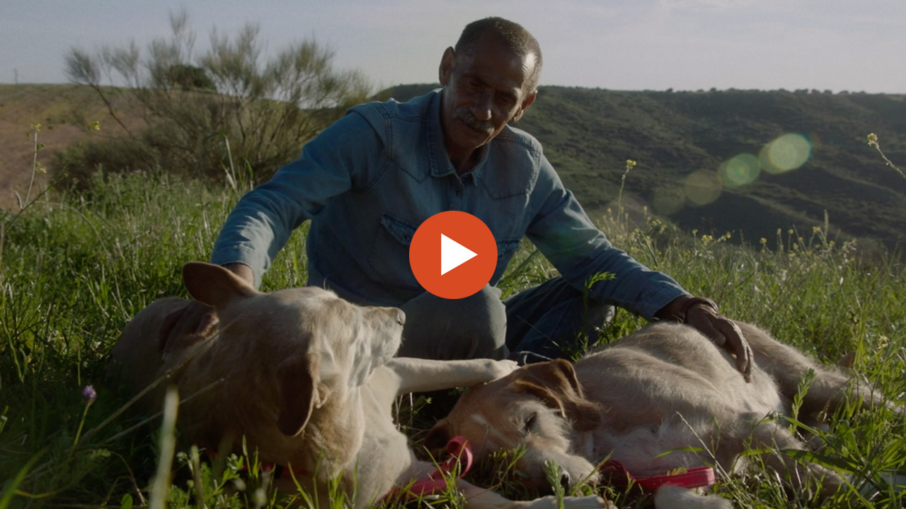Video Els animals canvien vides