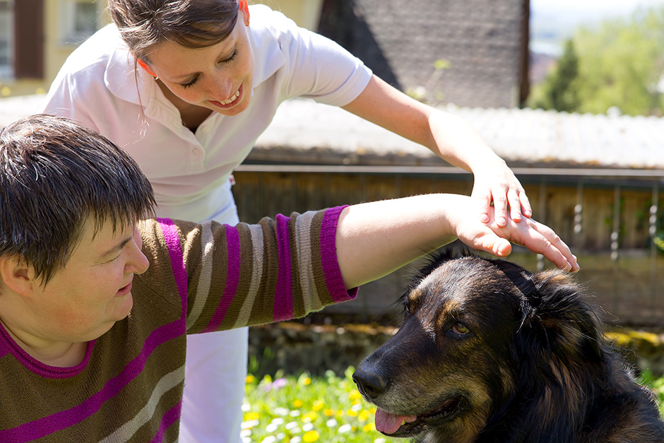 What is Pet-Assisted Intervention? | Affinity Foundation