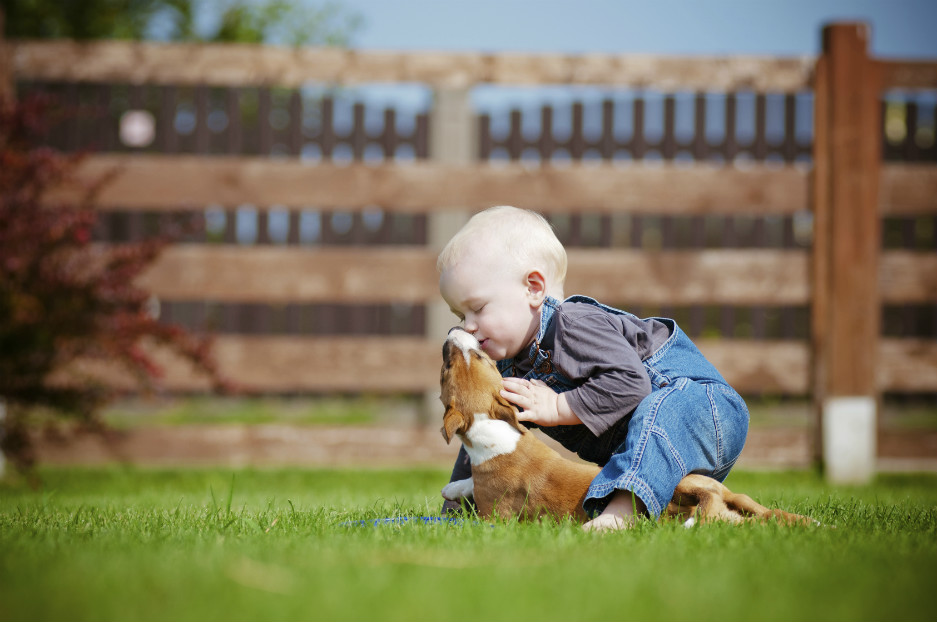 un bebé con un perro pequeño