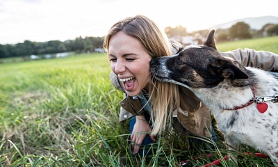 Cómo afecta la primavera a mi perro o gato - Fundación Affinity